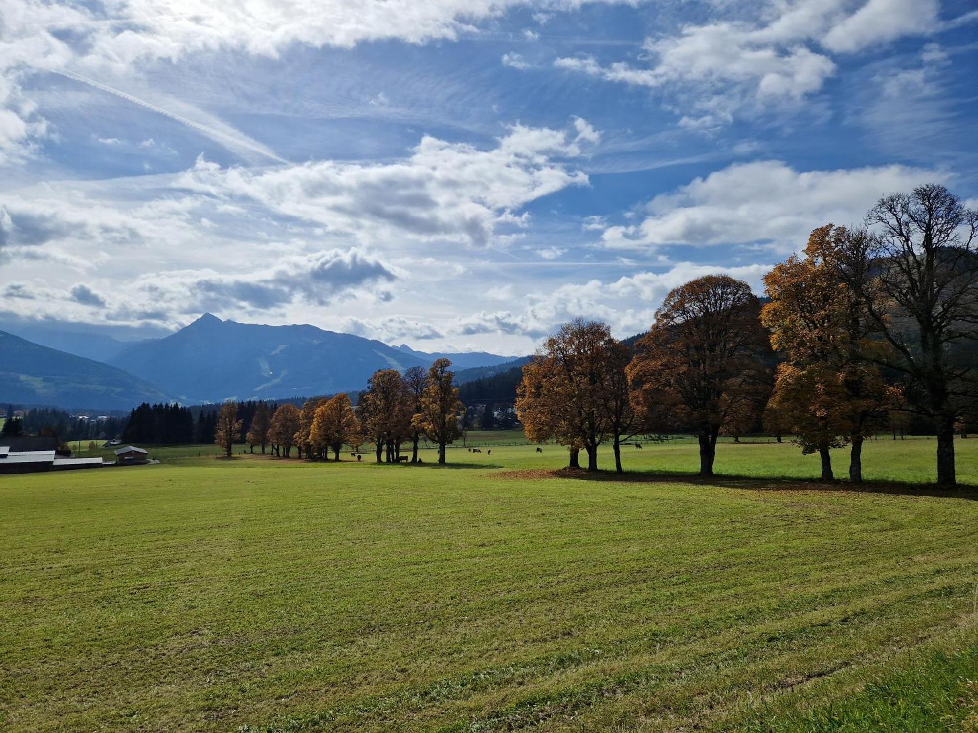 Romantikapartment Mit Sommercard Ramsau am Dachstein Exterior foto